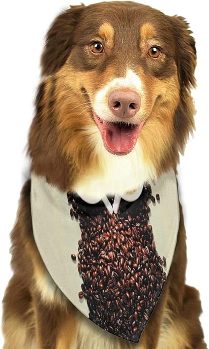 Amazon Com Lightly Pet Scarf Funny Good Morning Wishes For Puppy