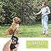 BIG DEAL Humane Safety No Shock Dog Training Collar with Remote, 1000FT Range Rechargeable Waterproof Dog Training Collar for Small Medium Large Dogs (for 1 dog)