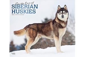 For the Love of Siberian Huskies | 2026 14 x 24 Inch (Hanging) Monthly Deluxe Wall Calendar | Foil Stamped Cover | Plastic-Fr