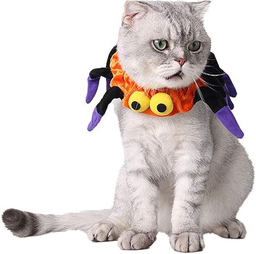 accesorios gatos amazon
