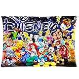Fashion Lover Custom Popular Cartoon Disney Pattern Design Zippered Pillow Case Cover Two Sides 20"x30"