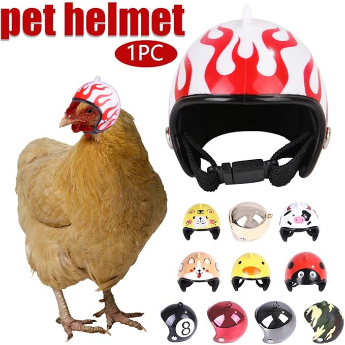 bloomma123 Pet Helmets Chicken Bird Hat Headwear Pet Helmets Bird Hat