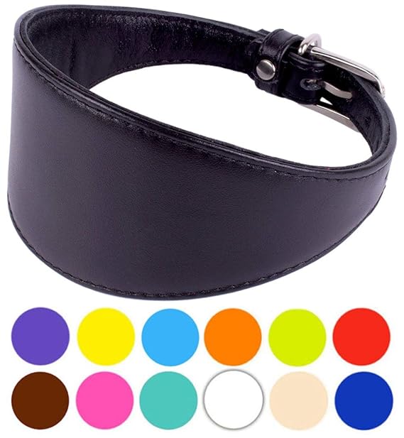 lurcher collars amazon