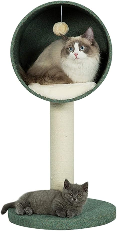 Echelle D Escalade Pour Maison Dans Un Arbre De Chat Construction Stable Et Fourrure Douce Meubles Pour Tour De Chat Pour Chatons Chats Et Animaux Domestiques Style 3 Couleur A Amazon Fr