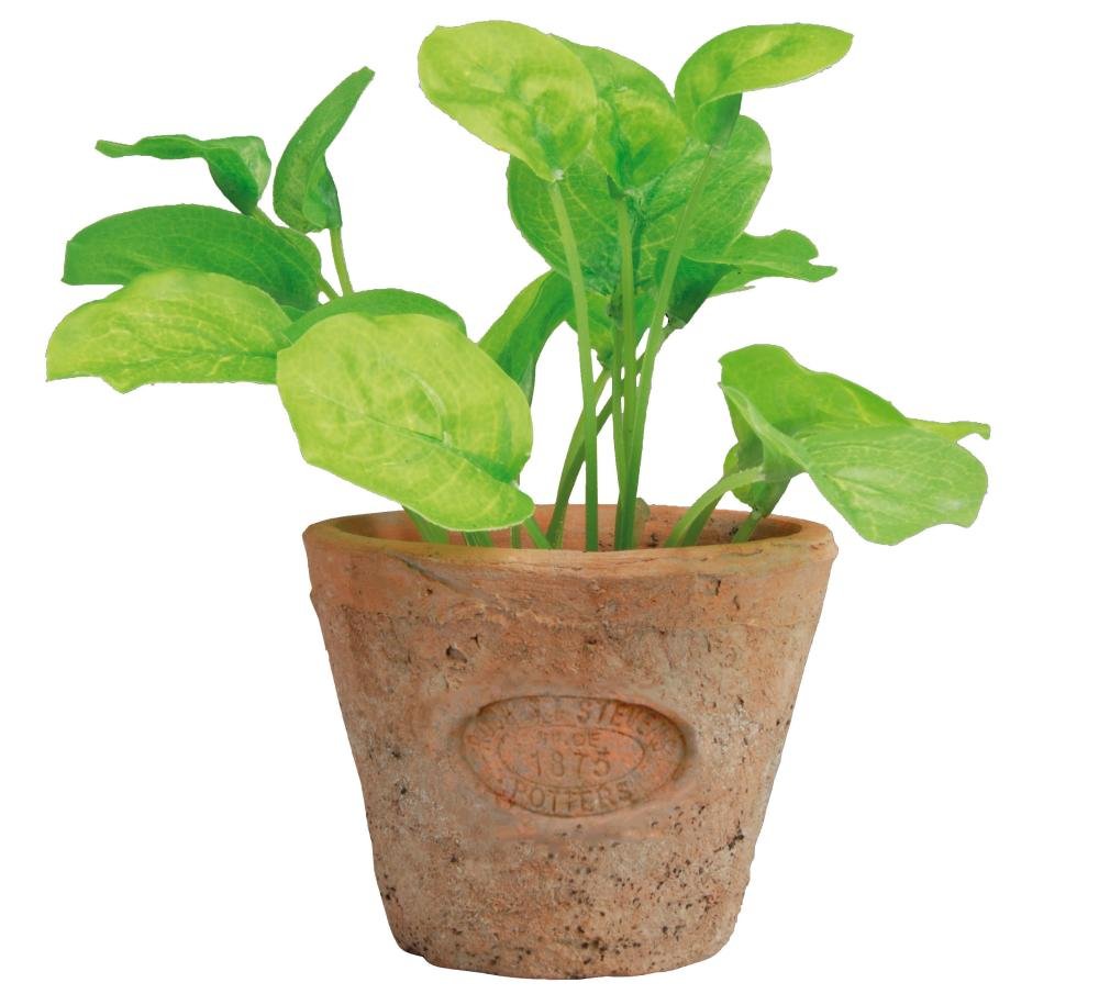 Esschert's Design AH007 Small Artificial Aged Terracotta Pot - Basil