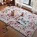 Short Velvet Romantic Pink Rose Carpet Area Rug for Teen Girls/Women/Ladies - MAXYOYO Floral Printed Soft Short Velvet Area Rug Non-Slip Carpet Pad, 39 by 59 Inch