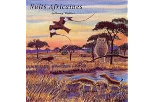 African sounds at dusk