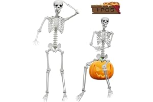 DINESIL 6Ft/185cm Halloween Skeleton, Life Size Skeleton Halloween Realistic Full Body Bones with Movable Joints for Halloween Party Haunted House Indoor Outdoor Decoration