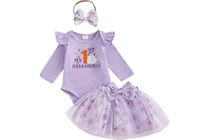 HYADRBLEBY Newborn Baby Girl Christmas Outfit Infant Dress Santa Baby Romper Tulle Tutu Skirt Leg Warmer 4Pcs Clothes Set