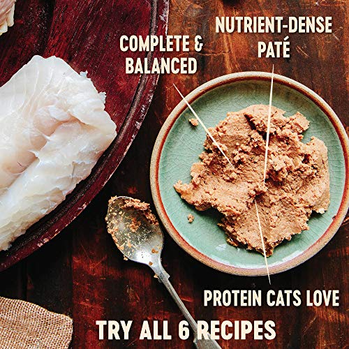 Wellness CORE Natural Grain Free Wet Canned Cat Food, Indoor Recipe, 5.