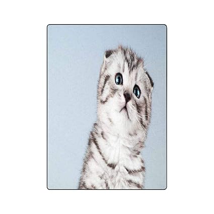 Amazon Com Interestprint Fluffy Gray Beautiful Kitten Ultra Soft