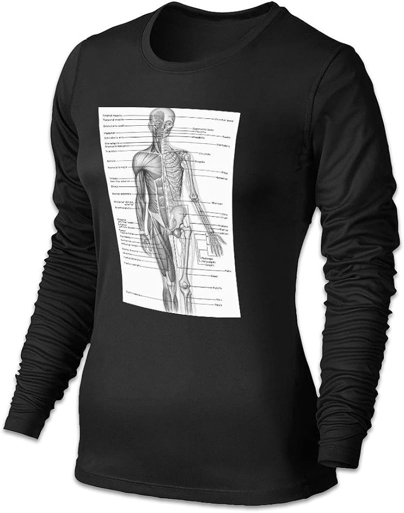 Women's Human Anatomy Chart Medical Human Anatomy XLarge at Amazon