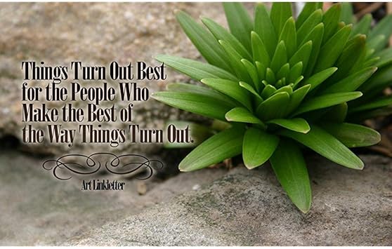 Amazon Com Brother Bear Poster Movie B 11x17 Joaquin Phoenix Hope Levy Jeremy Suarez Rick Moranis Prints Posters Prints