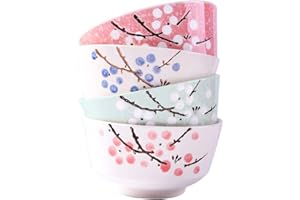 Whitenesser Japanese Rice Bowl Set of 4 Color 5 Inch Japanese Style Hand-painted Floral Plum Ceramic Bowls For Dessert Snack 
