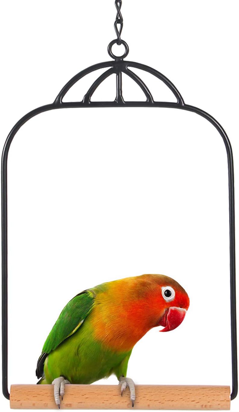 best toys for parrotlets