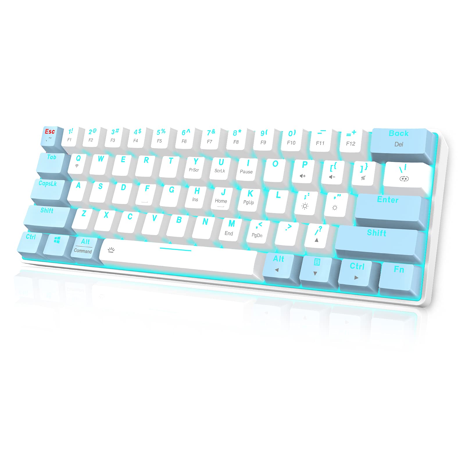 Mua EDJO Bluetooth Mechanical Keyboard 60, Wireless/Wired Mechanical