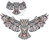CQI 31× 18 Inches Colorful Owl Removable Home Decal Vinyl Wall Sticker Art Decor DIY Decoration