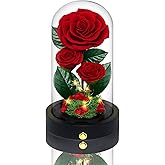 Vryblos 3 Preserved Flowers Roses in Glass Dome with Light for Beauty and The Beast Decor Real Rosas Eternas for Women Mom Birthday,Forever Red Roses for Delivery, Gifts for Wife Girlfriend Her