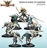 Pit Fighter Box SW