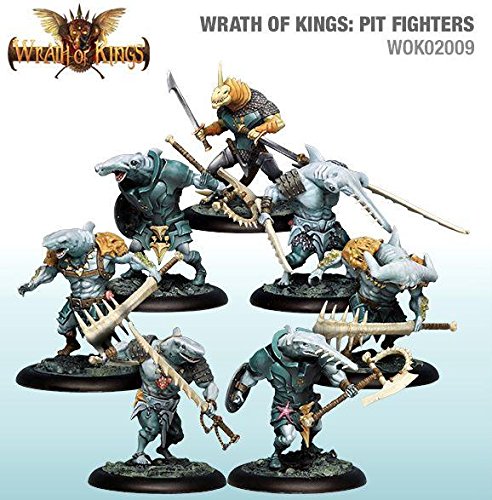 Pit Fighter Box SW