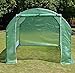 BenefitUSA 10'x7'x6' Walk in Outdoor Canopy Gazebo Plant Gardening (Frame Does Not Included) Greenhouse Replacement Cover