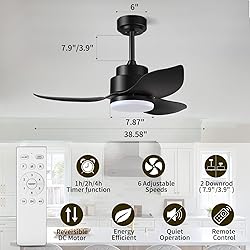 Modern Black Ceiling Fans with Lights Remote