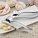 Stainless Steel Garlic Press,Garlic Crusher,Garlic Mincer and Silicone Garlic Peeler,eBerry Kitchen Utensil,Kitchen Gadgets Tools Set