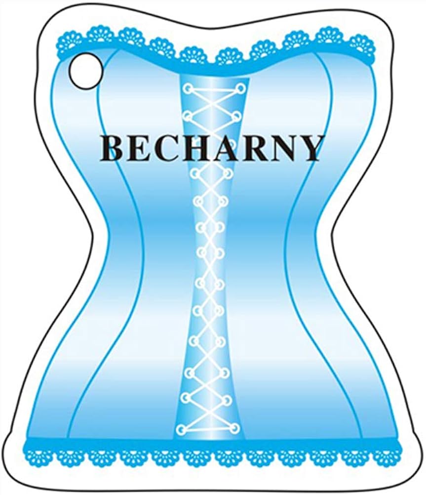 BECHARNY Plus Size Mesh Lingerie Fishnet Bodysuit One Piece V-Neck Mini Dress Strappy Chemise (05 Black) at  Women’s Clothing store
