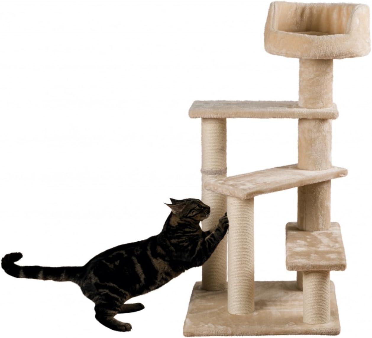 Amazon Com Trixie Pet Products Tulia Senior Cat Scratching Post Beige Pet Supplies