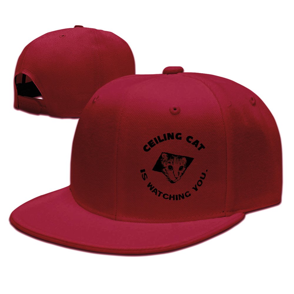 Ceiling Cat Is Watching You Funny Snapback Amazon Co Uk Sports