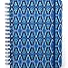 Posh: Organized Living 17-Month 2019-2020 Monthly/Weekly Planner Calendar: Blue Lagoon