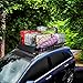 Warmfits 3'x4' Super Duty Bungee Cargo Net Stretches to 6'x8' Oversized Rooftop Carrier Net with 16 Metal D Clip Carabiners - Small 3