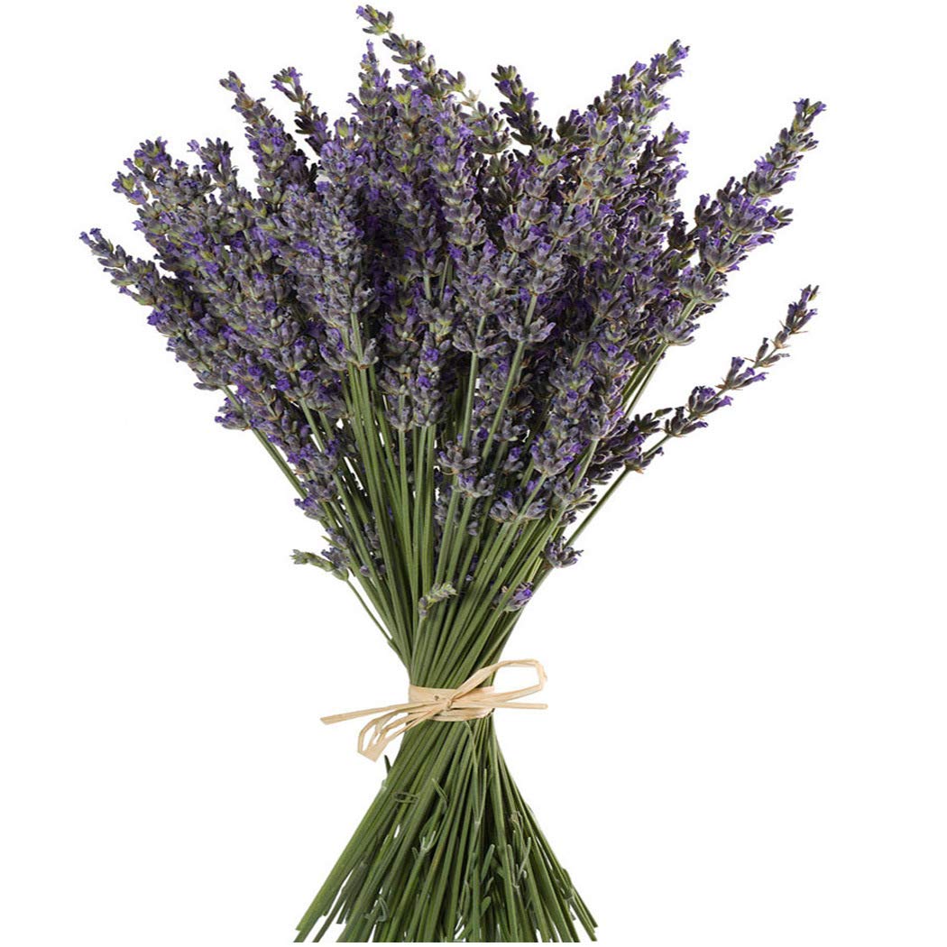 Photo 1 of TooGet Natural Lavender Bundles, Freshly Harvested 400+ Stems Dried Lavender Bunch 16" - 18" Long, Decorative Flowers Bouquet for Home Decor, Crafts, Gift, Wedding or Any Occasion