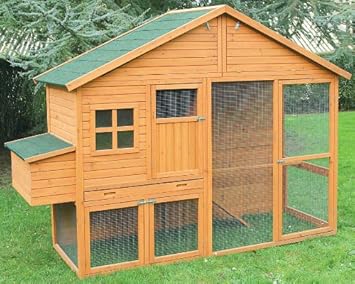 poulailler en anglais