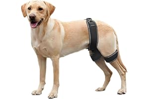 Dog Hip Brace, Hip Dysplasia Orthotics Support Harness, Relieve Joint Pain and Orthodontic Assistance, Prevents Hip Joint Iss