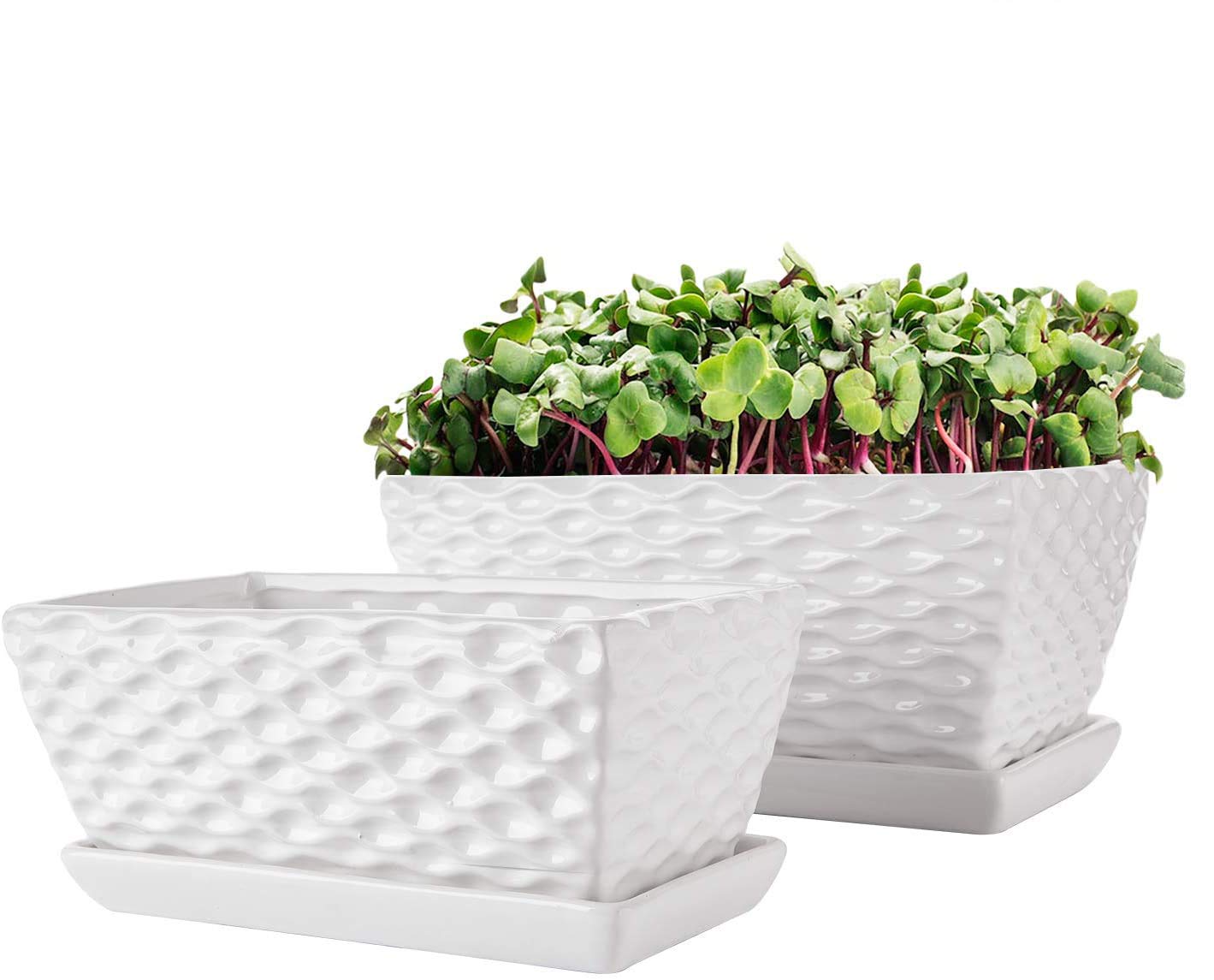 Photo 1 of Brajttt Flower Pots,Rectangular Modern White Ceramic Succulent Pots with Drainage, Garden Pots with Hole, Ceramic Pots, Planter Box with Saucer 2 Set