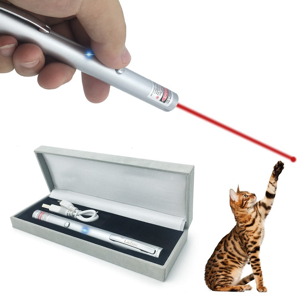 10 Best Laser Pointers 2024 Telescope Reviewer
