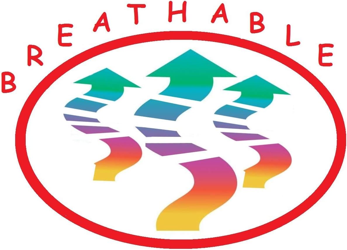 Luxurious Soft 1500 Thread Count Egyptian Quality 4-Piece Bed Sheet Set Wrinkle and Fade Resistant Coziest Bedding Set, Deep Pocket up to 16inch: Home & Kitchen