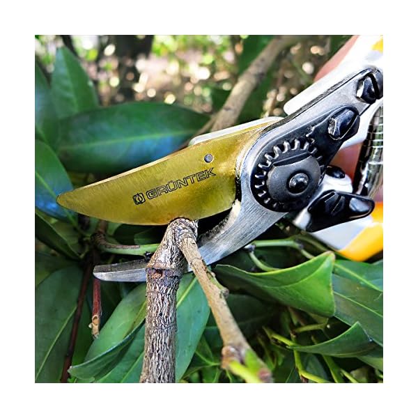 GRÃNTEK Premium Gartenschere Z-25, Geschmiedet, TITAN beschichtete SK5 PrÃ¤zisionsklinge, Baumschere Rebschere Ergonomisch 215 mm, Bypass Rosenschere Antihaftbeschichtet, Zufriedenheitsgarantie – Bild 4