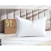 100% Natural White Goose Down Pillow Pack of 1, Standard Size- Medium | Luxury Hotel Bed Pillow with Goose Feather Down Pillows with Ultra Comfort 700TC Cotton Shell