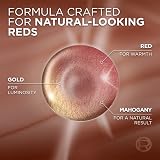 L'Oréal Paris Excellence Universal Reds Ammonia-Free Hair Colour 5UR Universal view 3