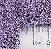 GLITTIES - Sweet Lavender - Purple Loose Fine Glitter Powder (.008