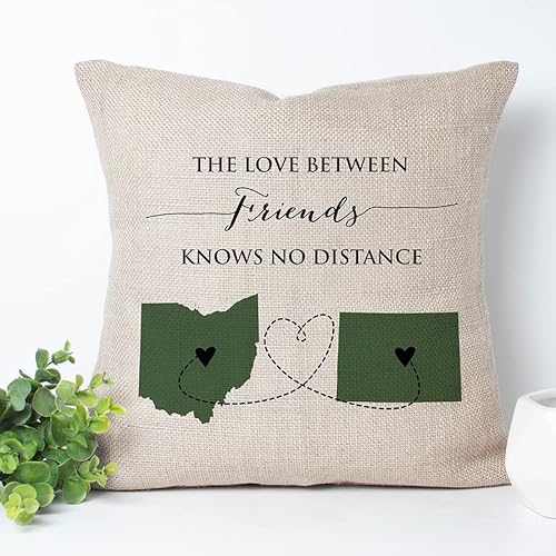 Personalized The Love Between Friends Knows No Distance Pillow