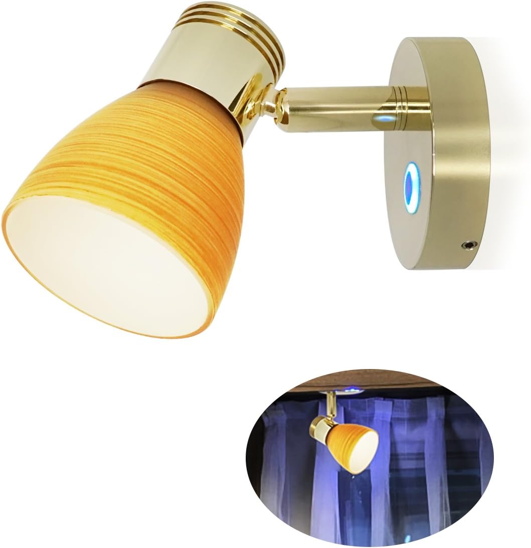 RV 12V Reading Light Warm White Berth Directional Lamp, Teak Color