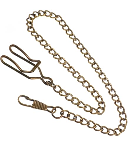 Amazon.com: TREEWETO Pocket Watch Vest Chain with Albert T Bar