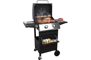 BARPHYGO 2 Burner BBQ Gas Propane Grill, 20000 BTU Portable Outdoor Grill for Camping Cooking Kitchen, Small Stainless Steel Barbecue Propane Grills for Patio/Deck/Backyard/Garden