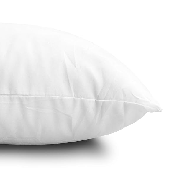 EDOW THROW PILLOW INSERTS, SET OF 4 LIGHTWEIGHT DOWN ALTERNATIVE POLYESTER PILLOW, COUCH CUSHION, SHAM STUFFER, MACHINE WASHABLE. (WHITE, 20X20)