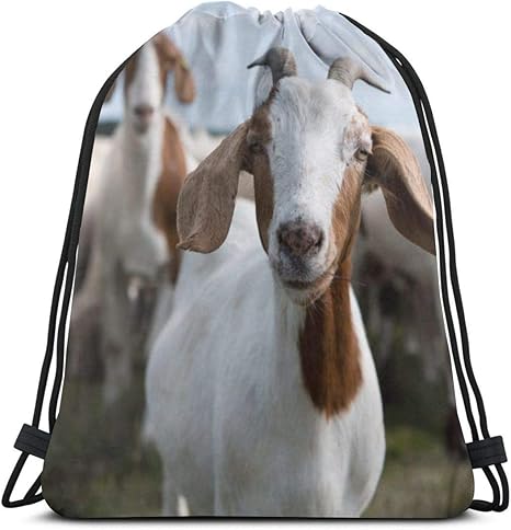 the goat bag sports backpack