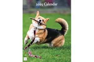 2025 Calendar: Corgi