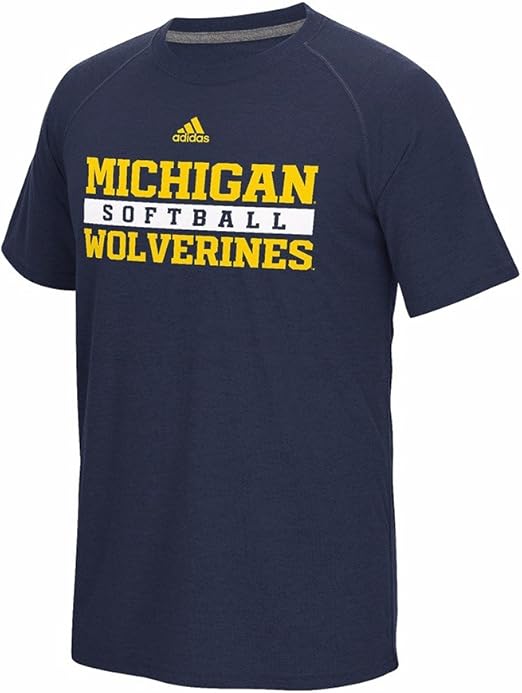 michigan softball sweatshirt